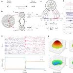 研究进展：神经拟态芯片-有限元FEM算法 | Nature Machine Intelligence