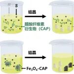 北大宛新华/张洁团队 JACS：研发磁性纳米拆分剂 - 突破天然高分子固有手性局限
