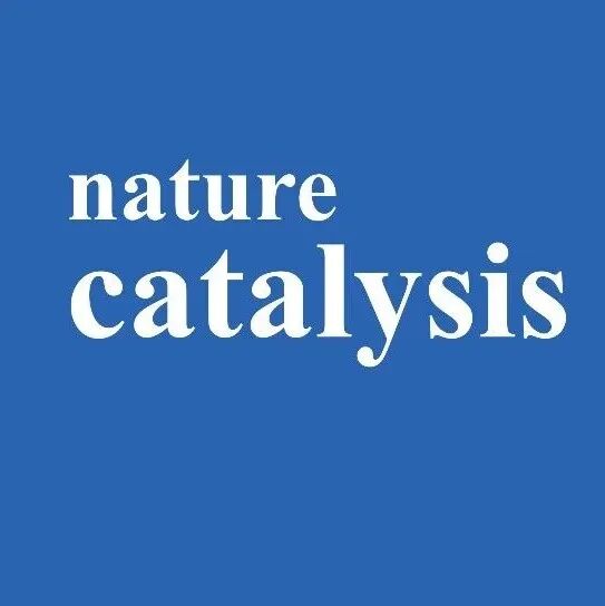金属载体相互作用,Nature Catalysis!