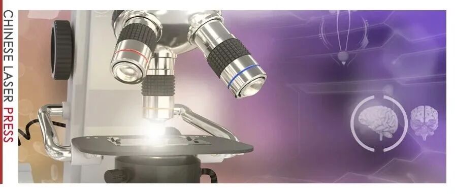 Advanced Imaging 点评 | 新型激光源加速布里渊显微成像