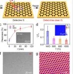 苏州大学/北京石墨烯研究院《Adv Mater》：微量氧辅助合成高质量石墨烯，提升电性能