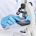 《食品科学》：烟台大学贺红军教授、许波副教授等：黄腐酚诱导SK-N-SH人神经母细胞瘤铁死亡的作用机制