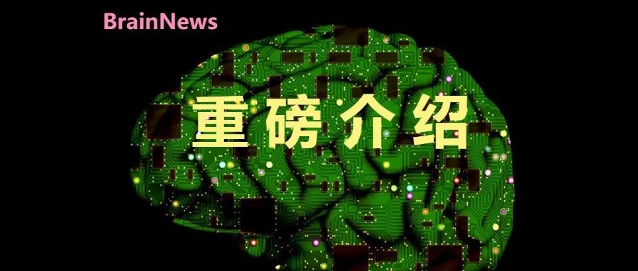 回顾：2025 脑科学/神经科学领域院士增选有效候选人（中科院13人，工程院4人）