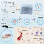 Adv Sci | 山东大学叶磊等团队合作开发新型的水凝胶，用于脊髓损伤的程序化修复
