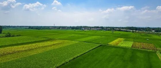 《Nature》子刊方法：地学领域高质量科研制图复现