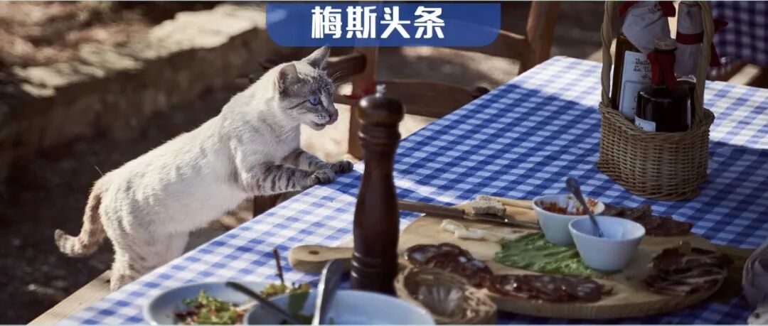 饿肚子，寿命延长53%？复旦最新Nature：激活线粒体自噬，而阻断它，能增强抗癌疗效；还能跨代长寿，连"感觉饿"都能重塑免疫