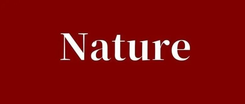 大地震！材料领域两篇Nature顶刊！最年轻90后博导登场！