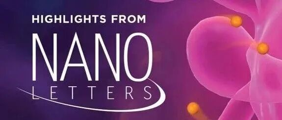 Nano Lett. | 中国科学技术大学：纳米化学滴定等离激元摩尔消光系数