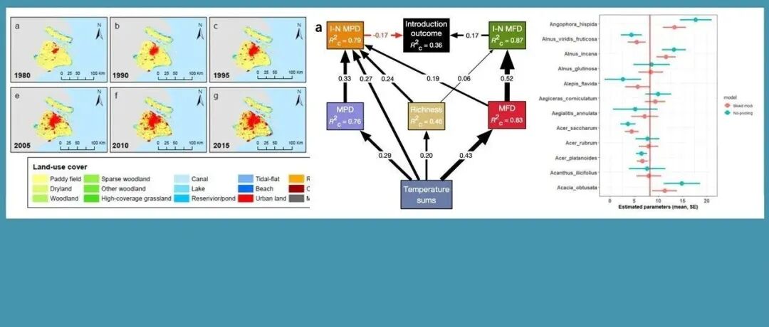 别让数据分析拖后腿，一站搞定ArcGIS、结构方程、混合效应模型、贝叶斯、Meta分析