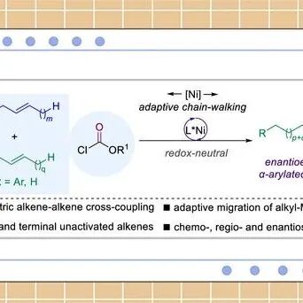 南科大舒伟JACS：自适应迁移-镍催化非活化烯烃的交叉不对称羰基化反应