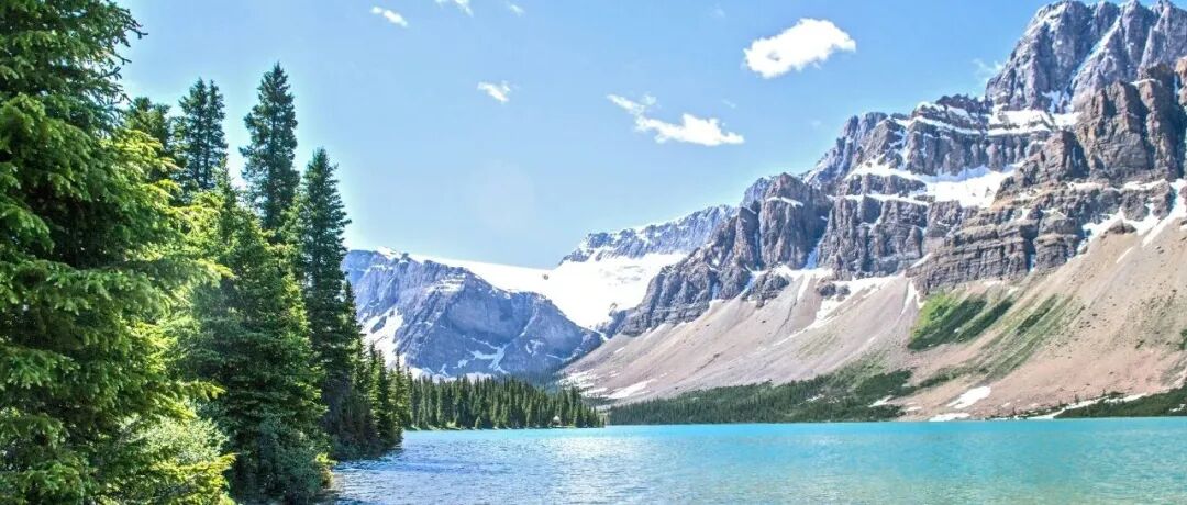 新质生产力来自何方？解析“美丽中国”愿景下的企业创新驱动力