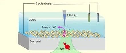成果 | 北京大学江颖课题组开发出探测固-液界面的量子显微镜技术