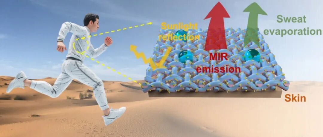 浙大张庆华教授团队 AFM：定制化多功能Janus织物 - 实现透气、抗菌与舒适个人热湿管理