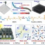 南工陈苏教授团队 Adv. Sci.：前端聚合-3D打印技术→原位固化构建耐盐型凝胶蒸发器