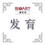 Autophagy丨李竞宇/高绍荣/黄国宁/朱乾书团队合作揭示自噬调控早期胚胎母源mRNA降解的新机制