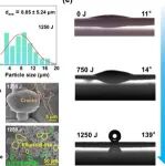 东南大学《Acta Materialia》：超声诱导有序化实现金属玻璃的卓越催化性能！