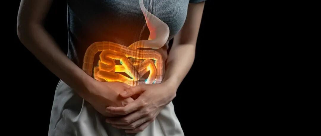 《食品科学》：北京联合大学闫文杰教授等：肠道微生物与功能性便秘：发生机制及营养干预进展