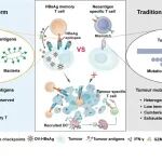 Nat Biomed Eng｜中国药科大学杨勇/王文广团队发表通用型肿瘤疫苗的突破性研究成果