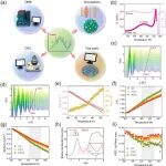 福耀科技大学蒋建中团队在《Advanced Science》上发表金属玻璃β-弛豫原子级结构特征研究成果