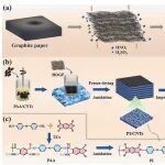 北京科技大学《Nanoscale Horiz》：高导向石墨/聚酰亚胺-碳纳米管支持复合相变材料，具有高热导率和光热转换性能
