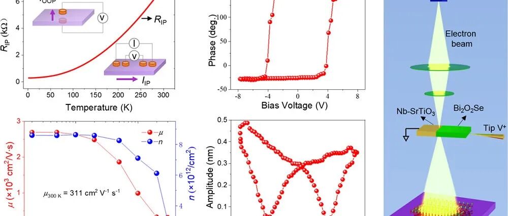 单层Bi₂O₂Se薄膜的室温铁电性观测与机理研究 | 进展