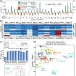 ACS Nano | 中国药科大学韩进松研究设计纳米传感器阵列探针实现脓毒症样本诊断率高达97.6%