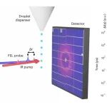 研究进展：超冷水 | Nature Physics