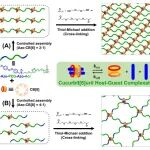 天津工业大学张拥军教授/邹磊特聘研究员团队 Macromolecules：基于葫芦[8]脲主客体复合物的滑环水凝胶网络