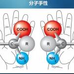 南方科技大学谭斌团队在顶刊Nature上发表氮手性领域著作