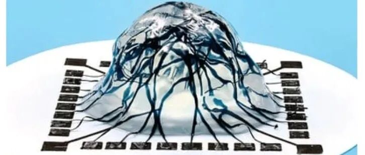 Science封面：利用水凝胶增加晶体管的维度 - 港大张世明教授、剑桥George G. Malliaras教授