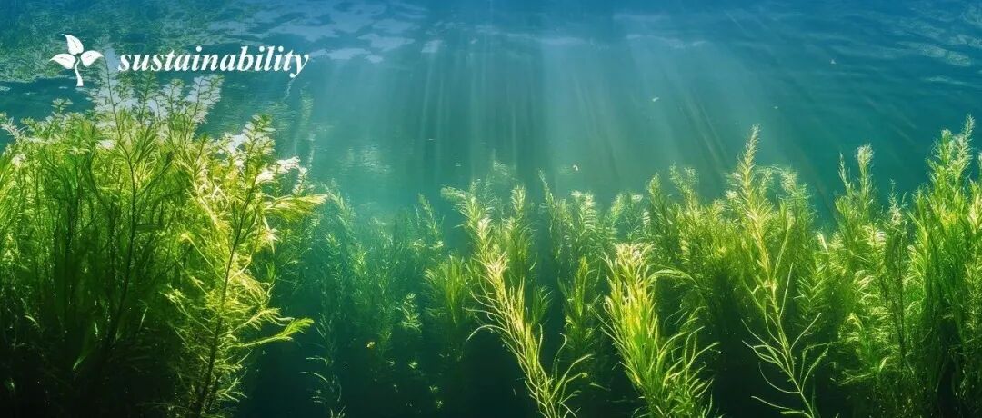 论文选题灵感：“可持续水管理” | MDPI Sustainability