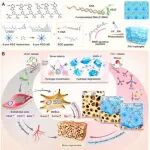 Adv. Mater：酶编程型DNA-PEG水凝胶可时空调控骨再生微环境