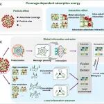 (纯计算)东南大学王金兰/凌崇益团队J. Am. Chem. Soc.: CO2还原全局描述符的机制与数据驱动探索