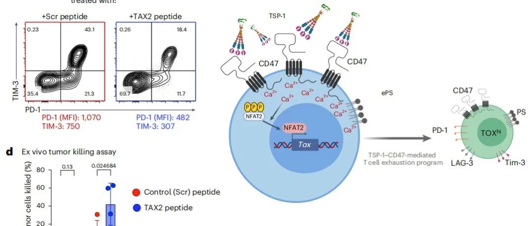 tsp-1-cd47-t-book
