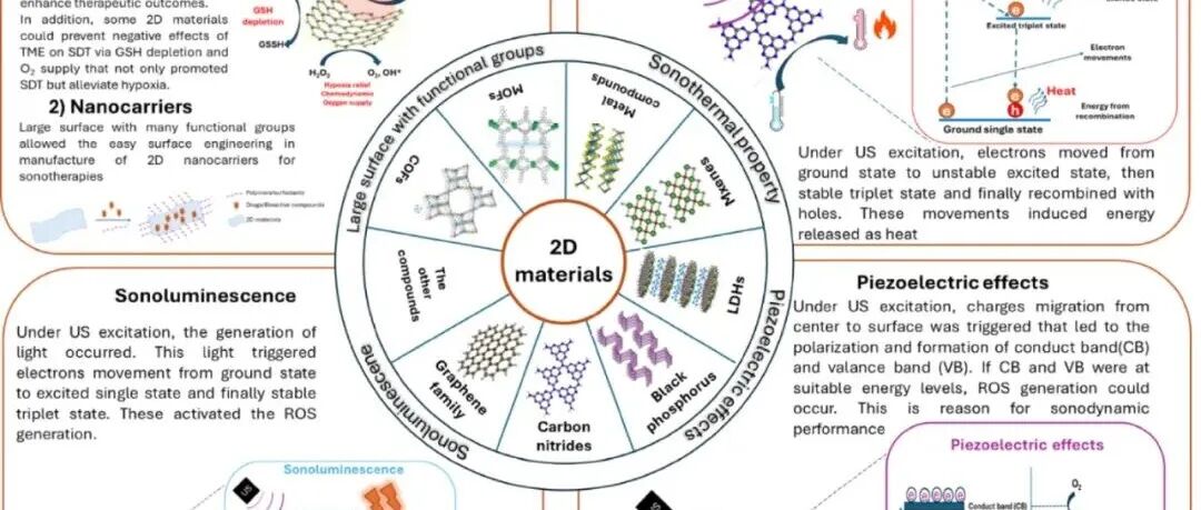 【Coord.Chem.Rev】二维材料在超声驱动的癌症治疗：与治疗性能相关的材料特性