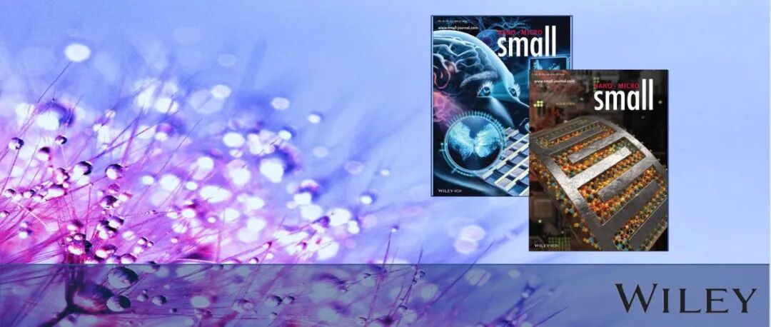 大连理工 陈平团队Small：界面调控MXene异质结构实现宽频带电磁吸收与热绝缘