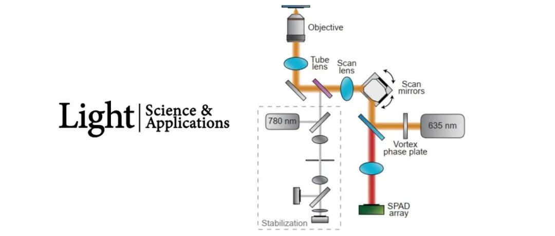 Light | 通过阵列探测器实现简单稳定 MINFLUX 的大定位范围