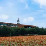段雪院士领衔！北京化工大学邵明飞团队合作：火焰法合成电解水制氢催化剂 | Nature Materials