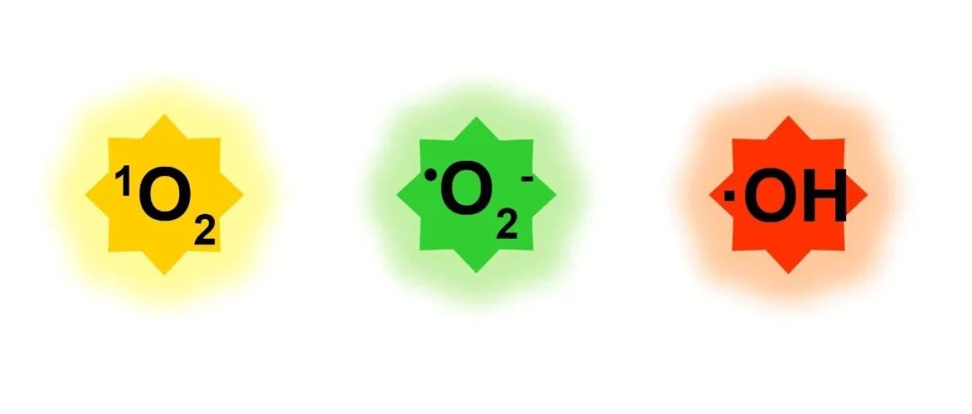 纳米材料催化过程中活性氧（ROS）种类及生成路径的详细解析