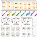 香港科技大学杨灿等合作最新PNAS