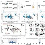 Sci Adv | 杨俊和段谟杰团队在膜转运蛋白的原位固体NMR研究方面取得新进展