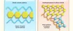 The Innovation Materials | 化刚为柔的陶瓷：从分子设计到界面重构，颠覆千年“脆性”定律