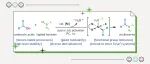 【Angew. Chem.】德克萨斯大学西南医学中心/欧柏林学院：羧酸与配位硼烷的形式缩合直接合成酰基硼烷