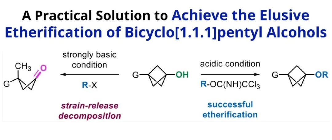 Merck｜BCP醇直接烷基化合成醚，首次实现可克级规模合成。
