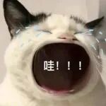 文章被拒稿，理由竟是“表征手段单一”！你引以为傲的创新，是否也败在了这关键的证据链上？