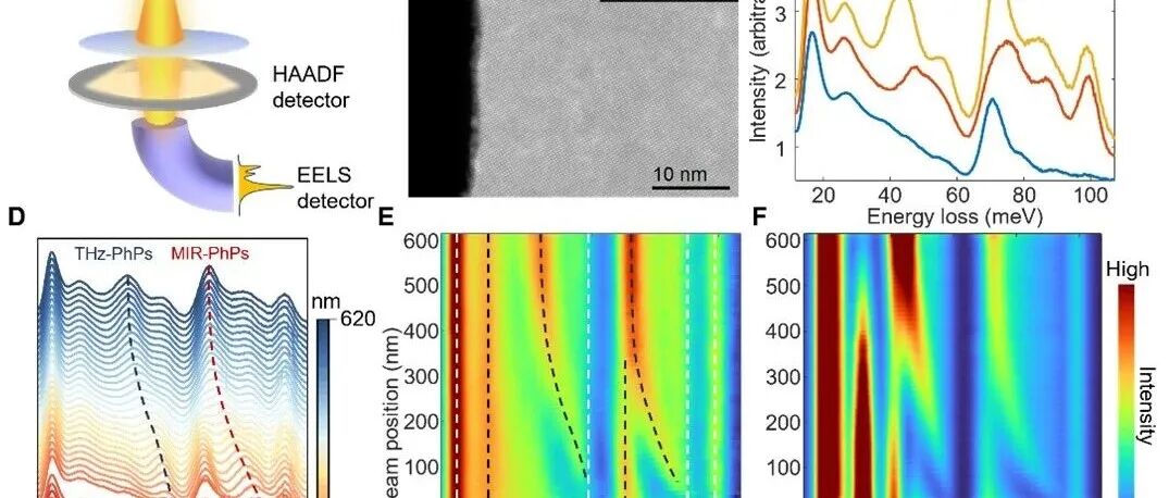 成果丨高鹏课题组报道电镜谱学技术填补太赫兹间隙助力宽频声子极化激元研究