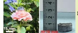 中南大学《Carbon》：三维多孔CoMo-LDO@Co/碳气凝胶，用于复杂环境的多功能微波吸收材料
