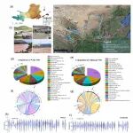 地球环境研究所估算微塑料化石源碳对黄河干流有机碳库贡献