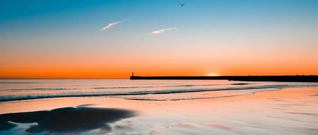 JMSE 编委申作军教授当选中国工程院外籍院士