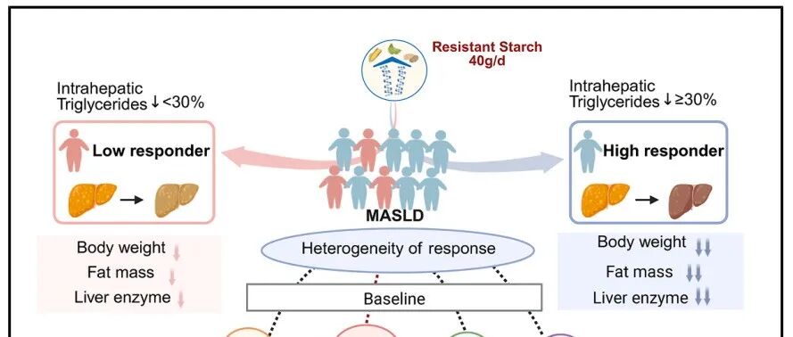 Cell Metab | 上海交通大学最新研究，多吃这种宝藏碳水，肝脏脂肪减少30%！